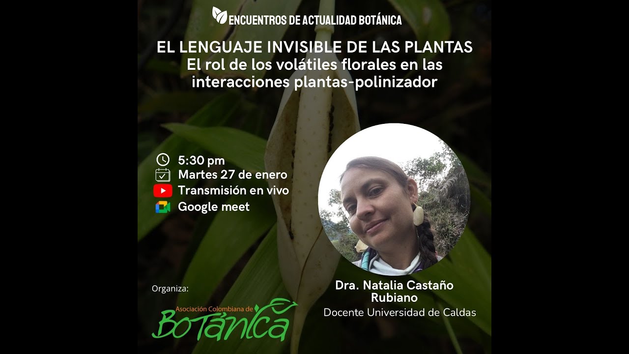 EL LENGUAJE INVISIBLE DE LAS PLANTAS
