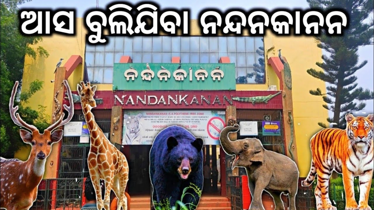 Nandankanan Bhubaneswar | Nandankanan Zoological Park | 2nd Largest Zoo of India | Odisha Zoo