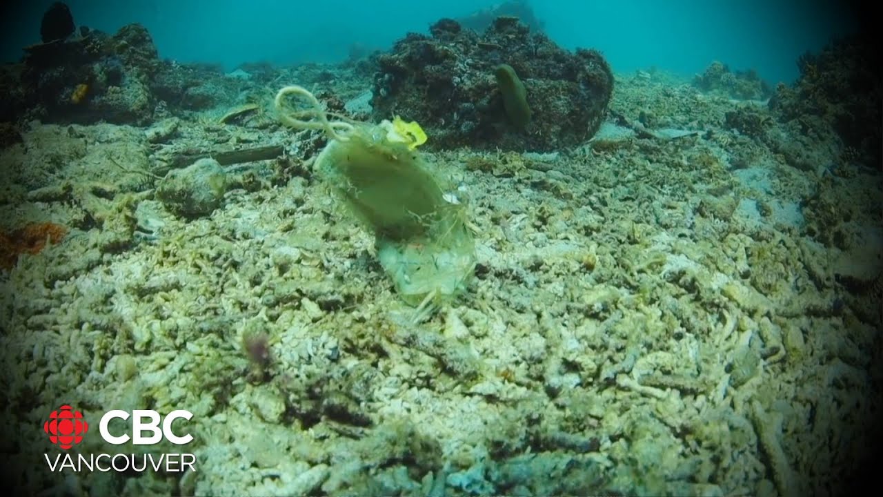 They helped save lives but billions of face masks are now in the ocean
