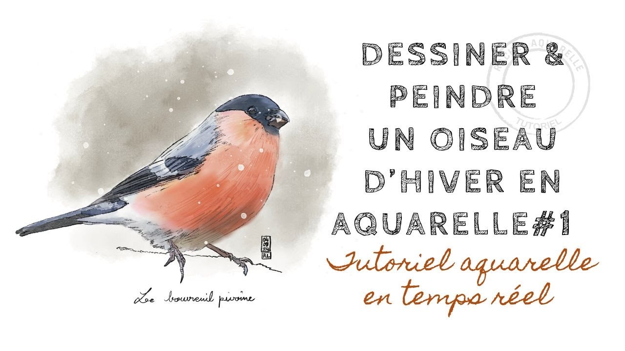 Dessiner un oiseau d’hiver | Tutoriel aquarelle en temps réel (partie 1) @RachelAquarelle