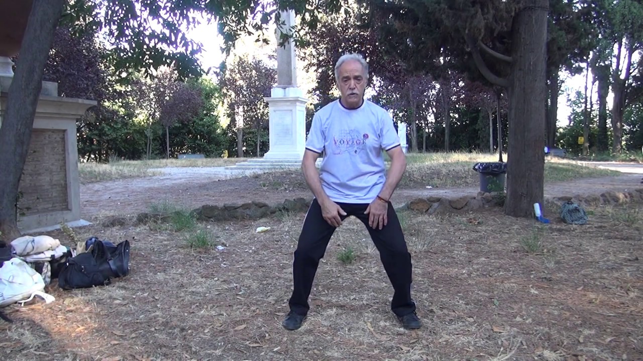 Corsi di Tai Chi e Qi Gong a Roma – Il Qi Gong dei 5 Elementi  I° (Fronte) - S. Fiordalice 05/7/17