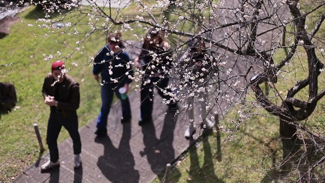 20260130榮星至善園賞梅