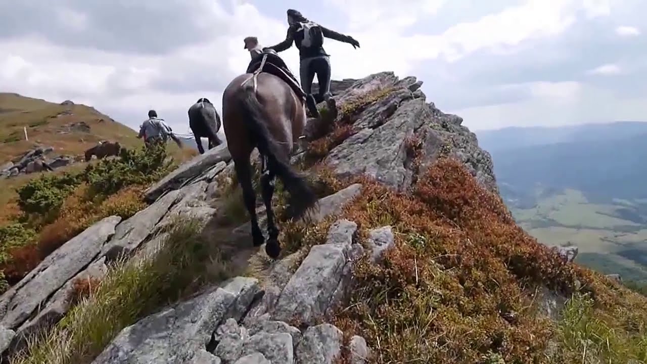 UKRAINA KONIE HUCUŁY