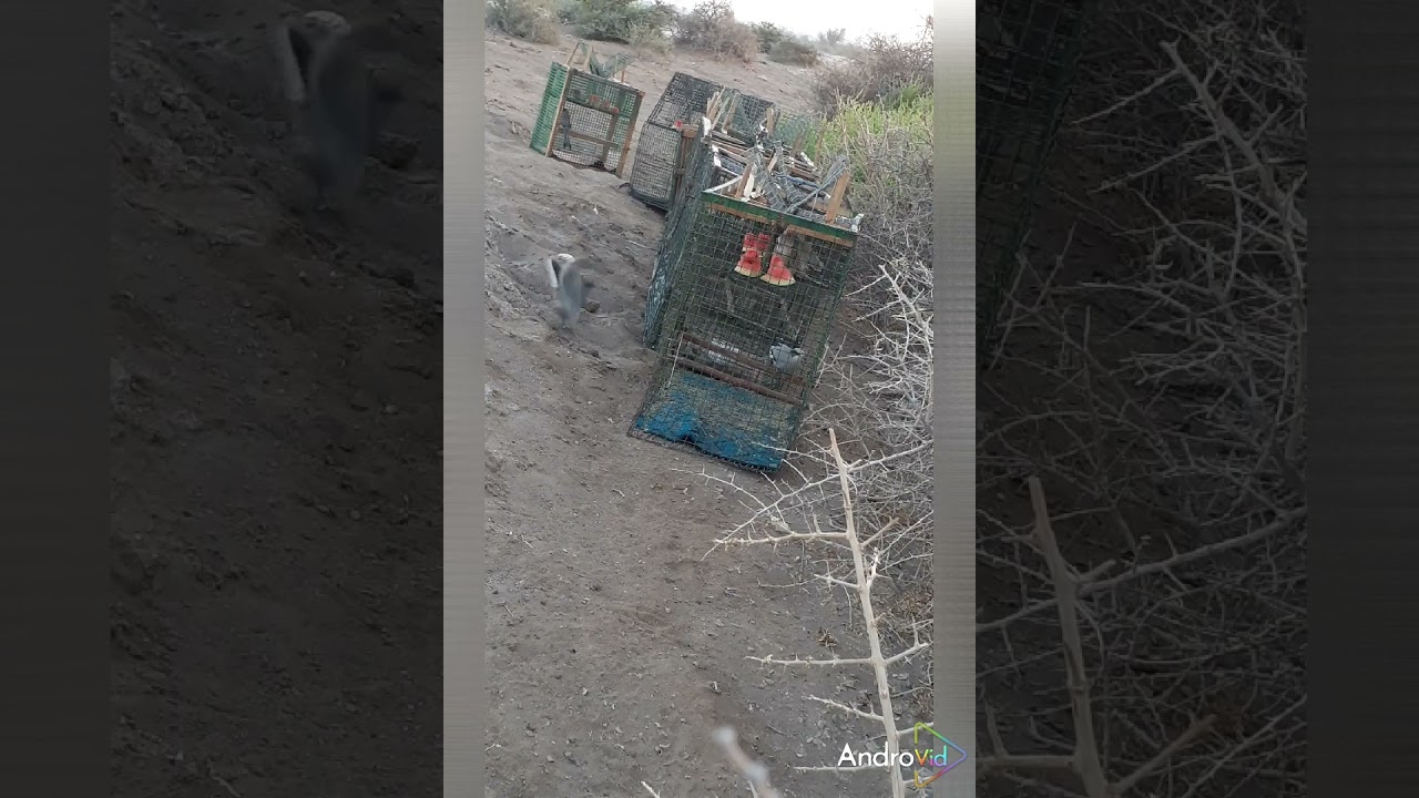 ٢٢ سبتمبر ٢٠٢٣