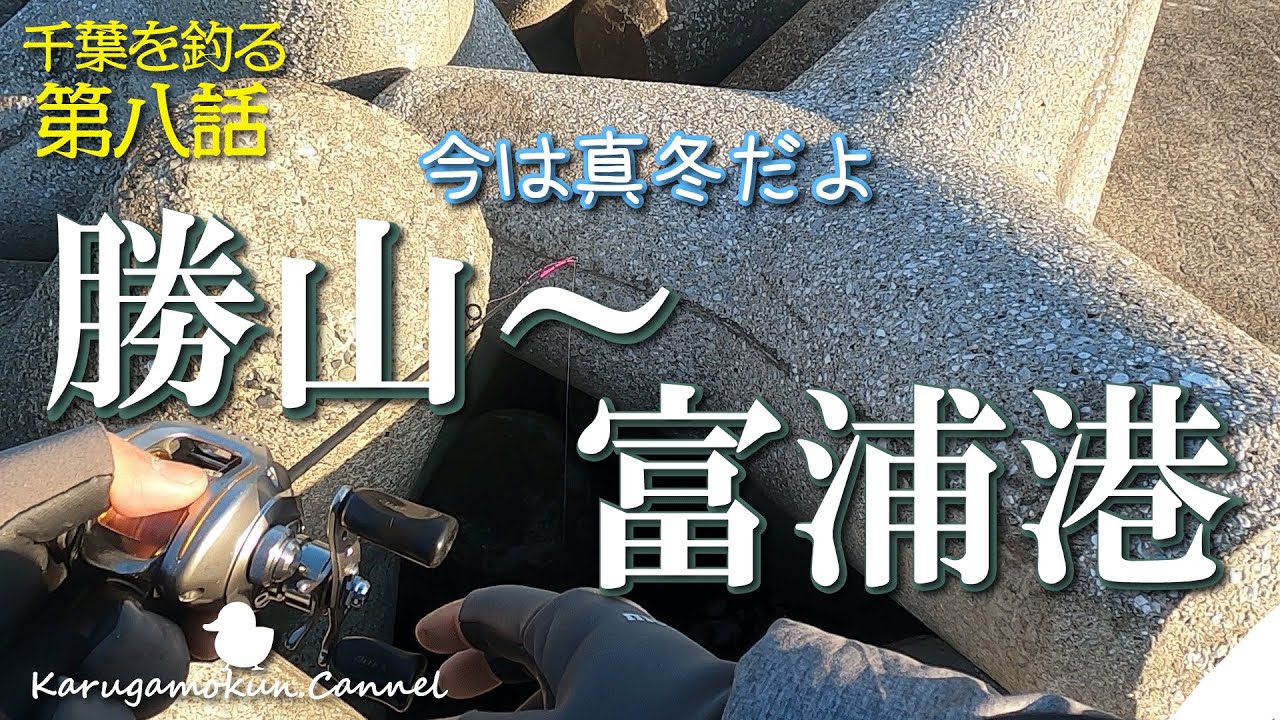 【千葉を釣る第八話★1月中旬】勝山～岩井袋～富浦と転々と釣行！【穴釣り】