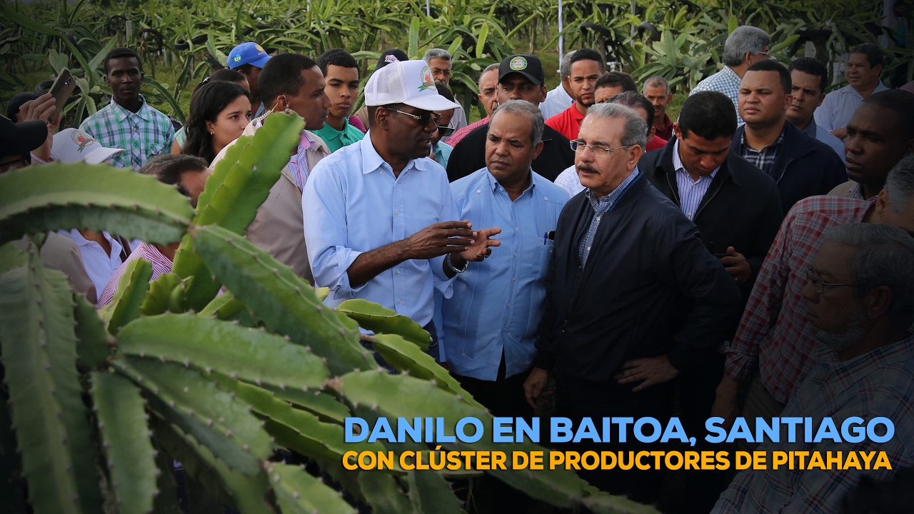 Danilo Medina Baitoa, Santiago con Clúster de productores de Pitahaya