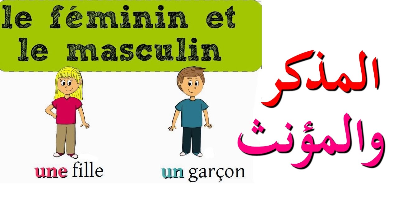 تعليم اللغة الفرنسية للمبتدئين : الإسم المذكر و المؤنث في الفرنسية و كيفية التمييز بينهما