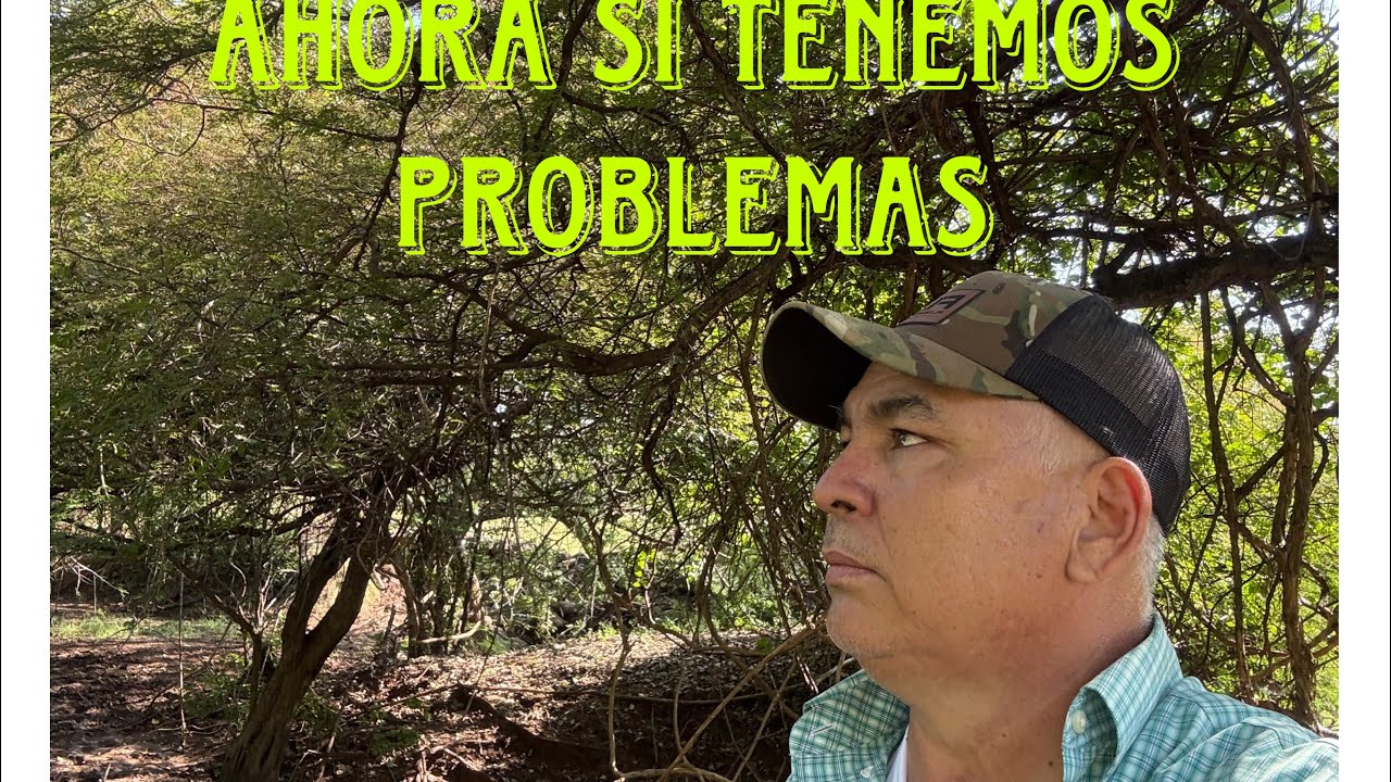 SE VINIERON LOS PROBLEMAS 