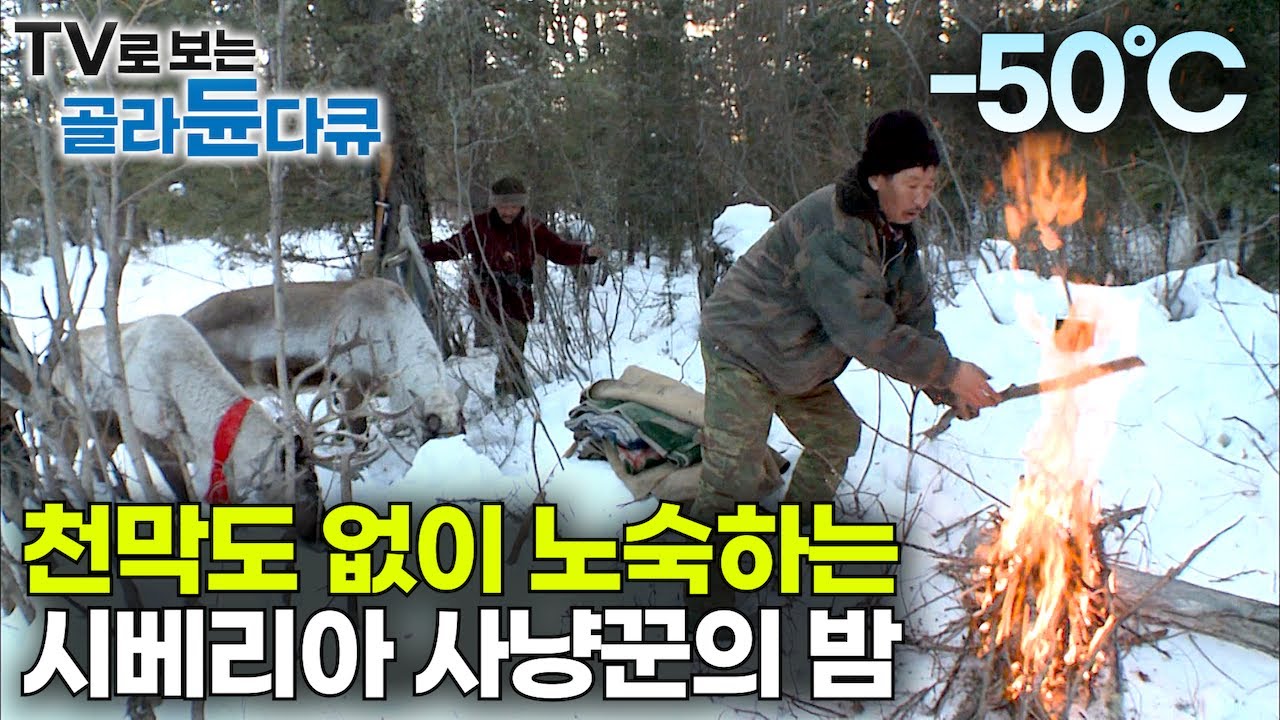 영하 50℃까지 뚝. 어떻게 살아요? 세상과 아득히 동떨어진 혹한의 야생 시베리아 숲에서 사람들이 먹고 사는 법｜우랄·알타이｜러시아 투바 공화국｜다큐프라임｜#골라듄다큐
