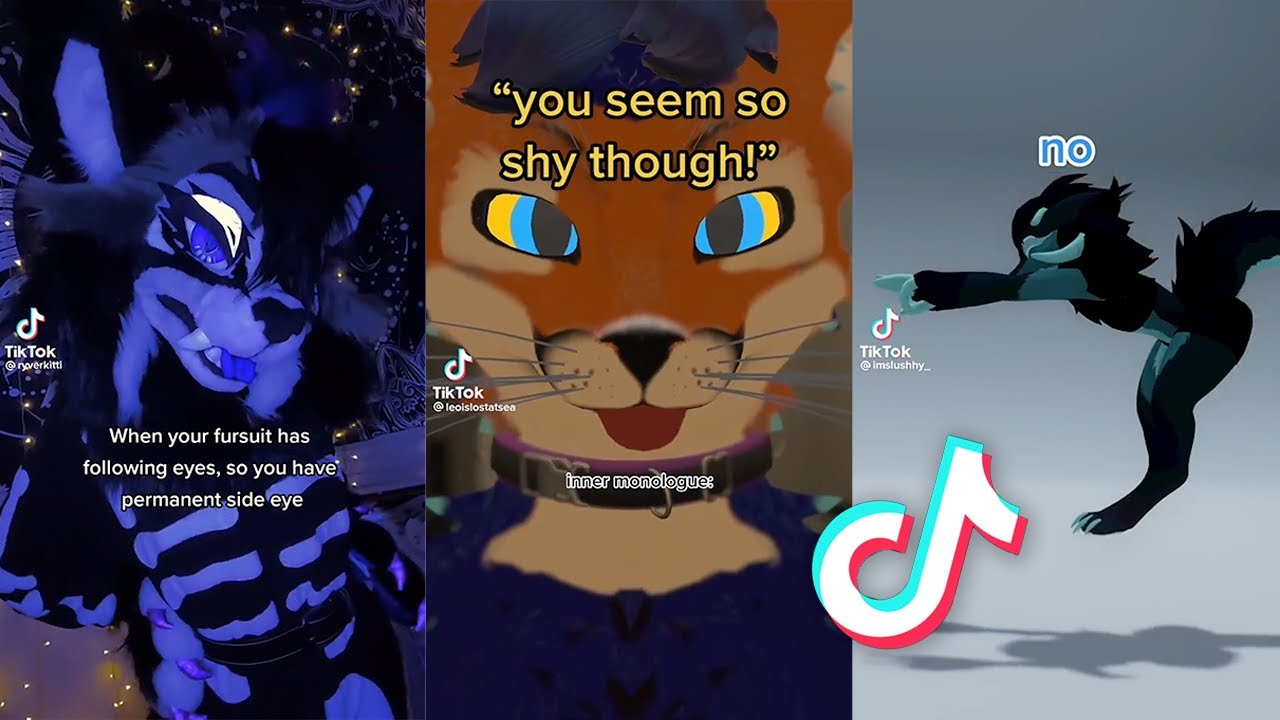 Furry TikToks To Watch Before The TikTok Ban