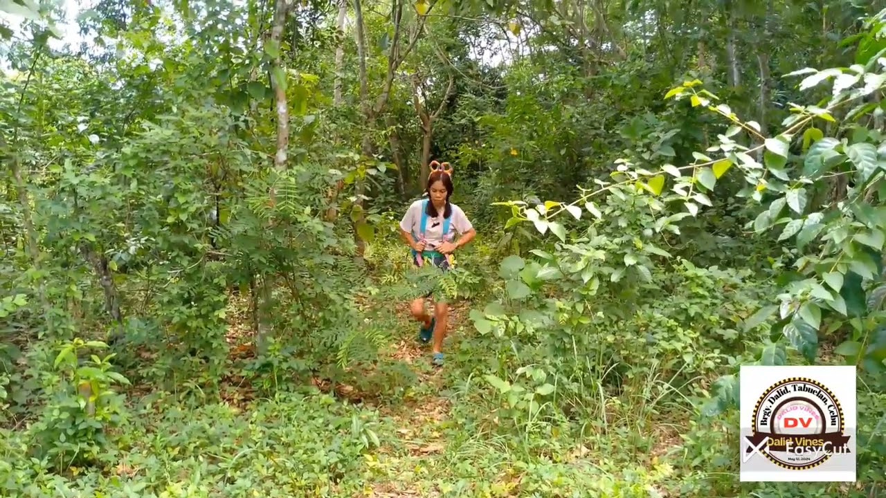 Doryang the explorer