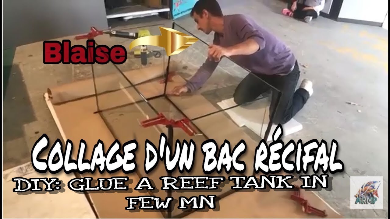 DIY: COMMENT COLLER UN AQUARIUM TERRARIUM PALUDARIUM, RECIFAL OU EAU DOUCE BUILD HOW TO GLUE A REEF