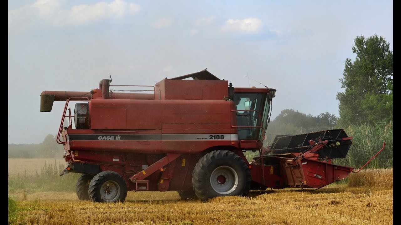 Wheat harvest 2016: old Case IH 2188 (sound)