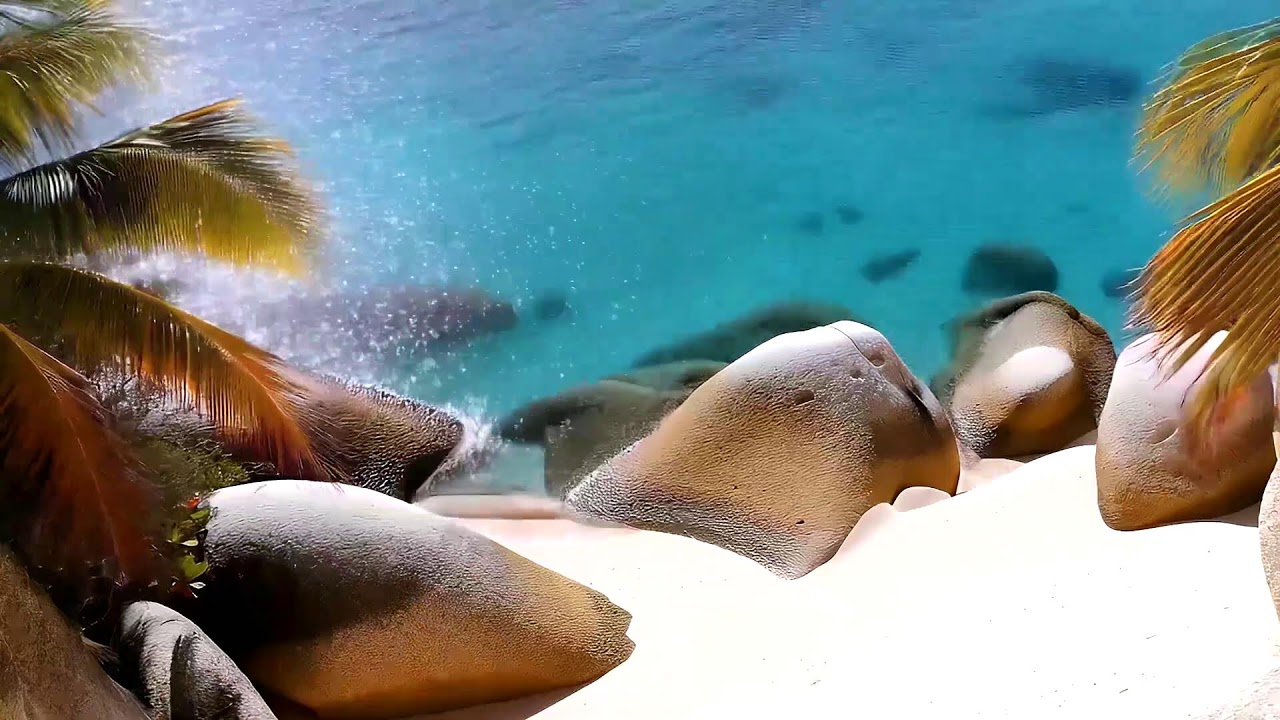 Chill Reggae Soundscape for Light Productivity, Calm Thoughts, and Uplifted Mood
