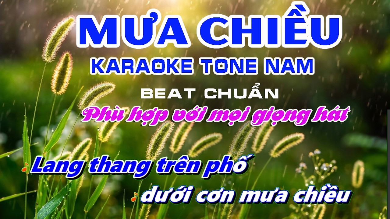 Karaoke MƯA CHIỀU. Tone Nam - Beat chuẩn Bm. | Bình Minh Karaoke |