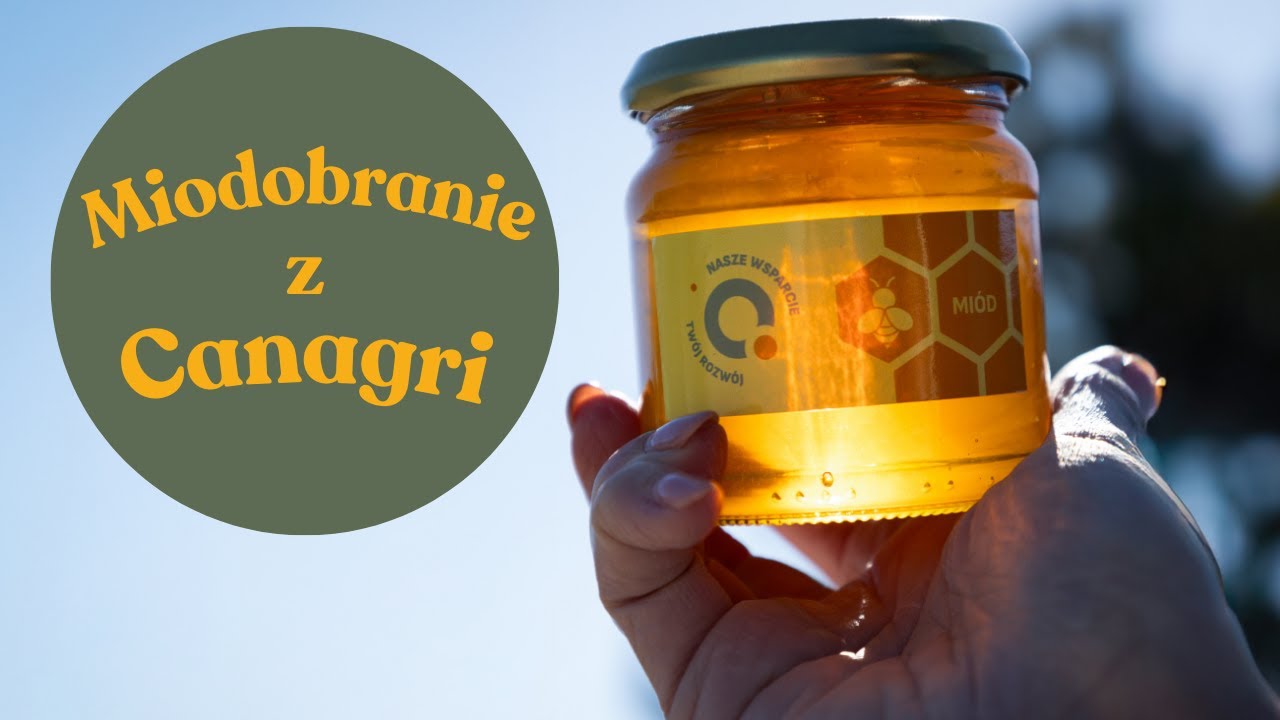 Miodobranie 2025 w Canagri | Pasja, tradycja i natura