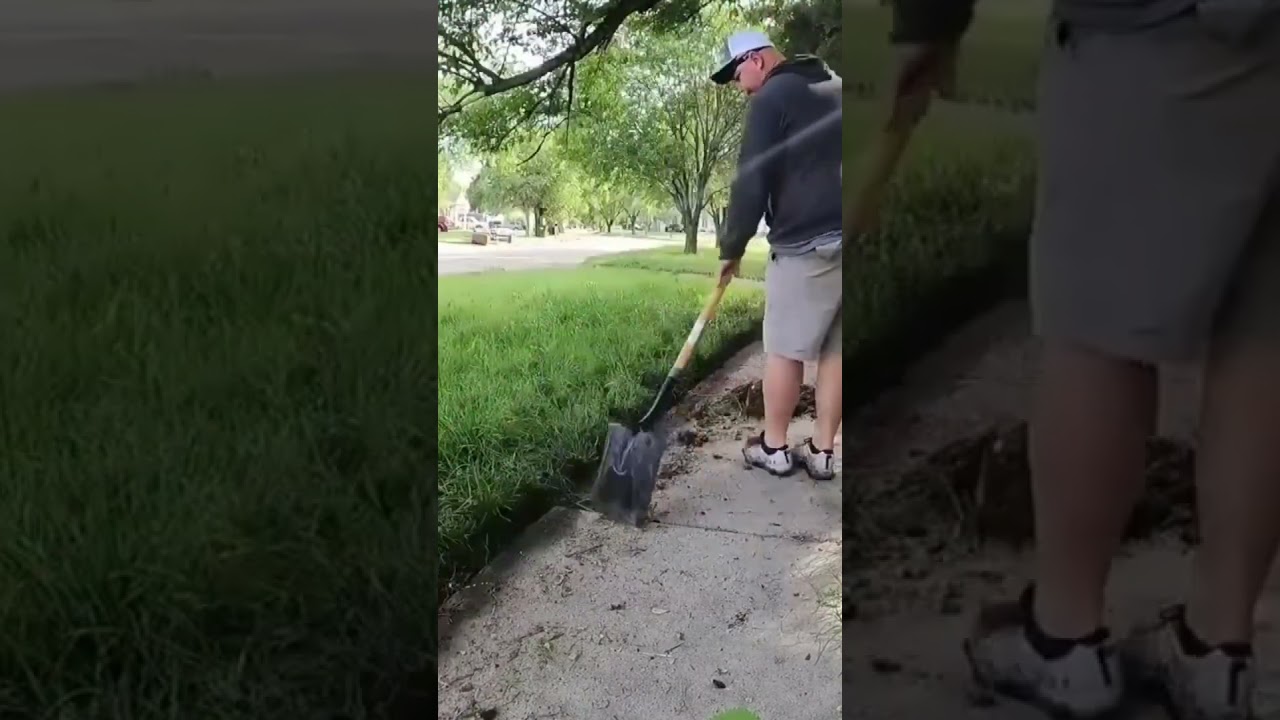I gave this sidewalk some love! 🤫 #satisfying #transformation #overgrown