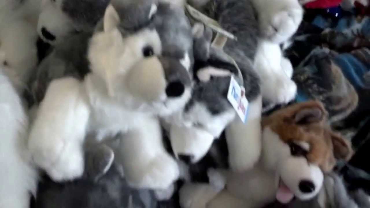 Full Husky Plush Collection 2013