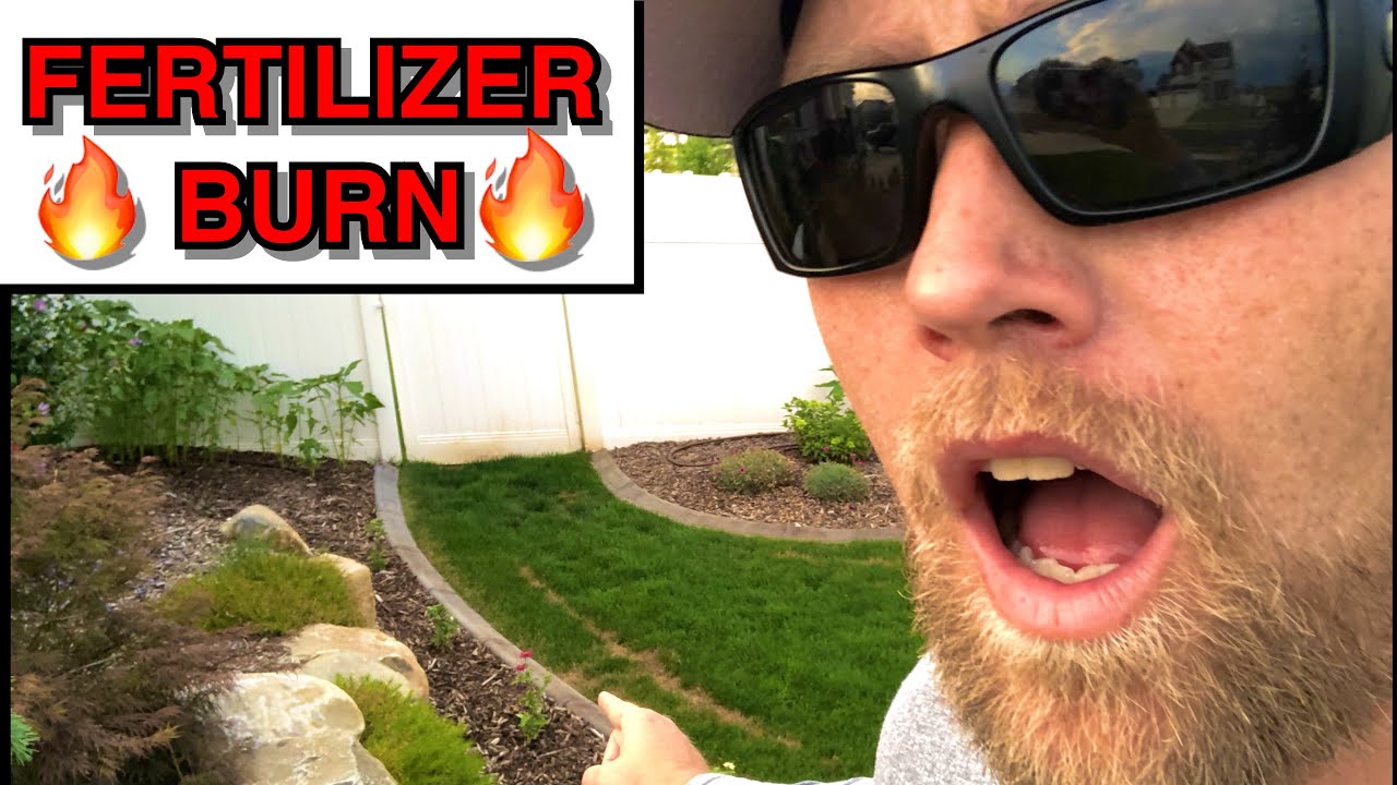 Fertilizer Burn | Fix Fertilizer Burn | Carbon X Update
