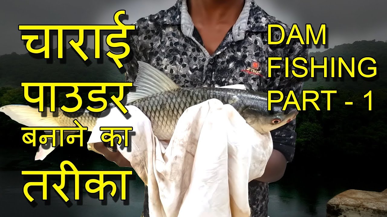 चाराई  पाउडर  बनाने का  तरीका Dam Fishing Tips Technique Rohu Primitive Fishing Video