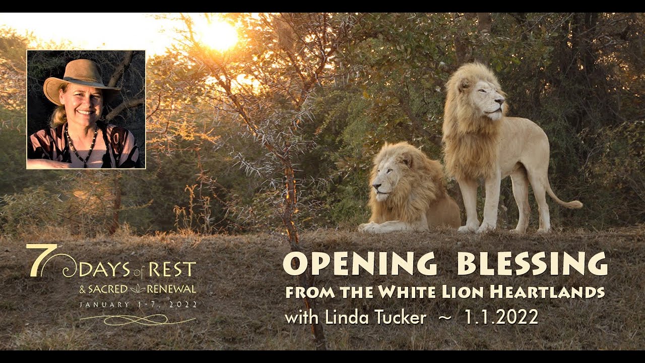 Opening Blessing from the White Lion Heartlands with Linda Tucker