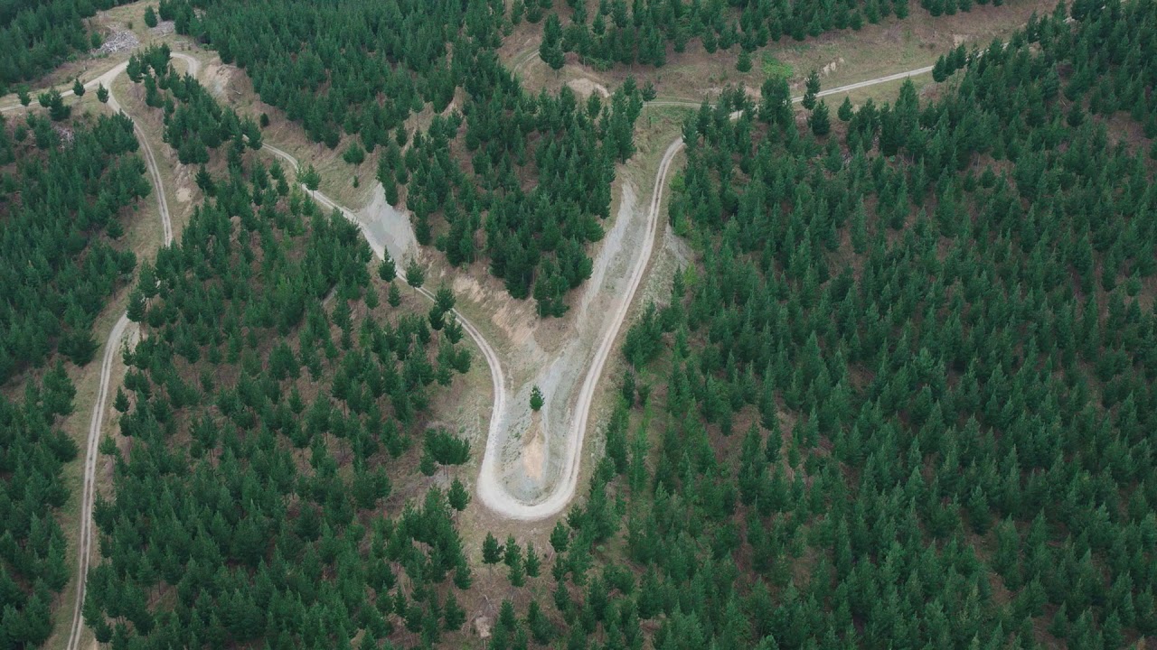 PROJECT ARLIE FOREST ESTATE