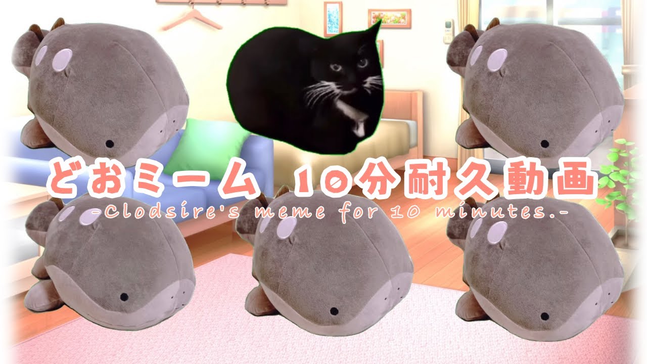 ドオーちゃんの猫ミーム 10分耐久動画-Clodsire's meme for 10 minutes.-