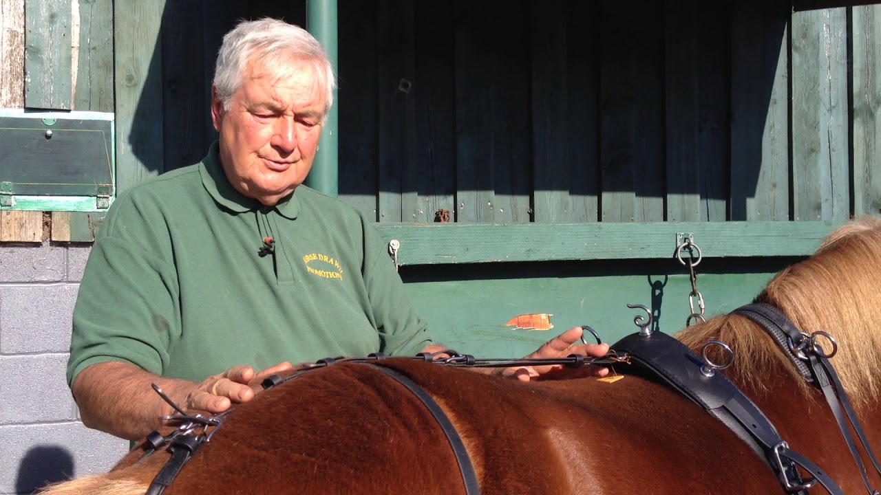 How To Harness; Part Two - Fitting the Harness to the Pony