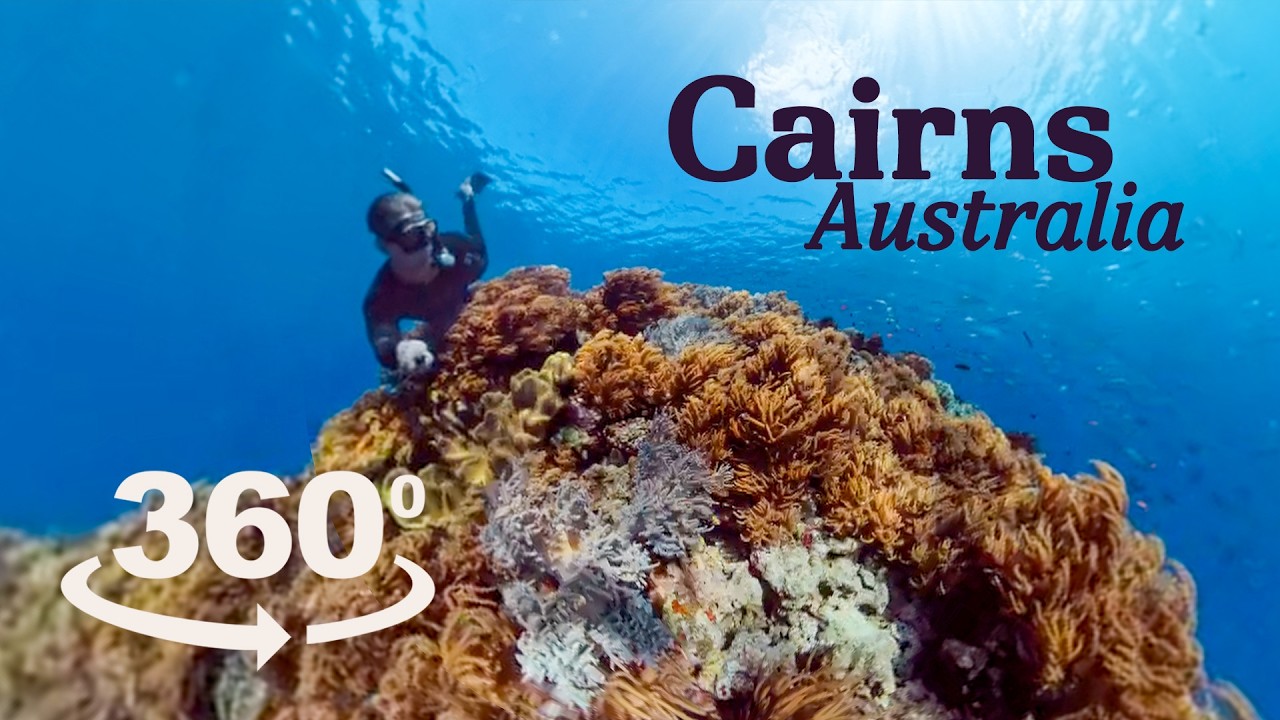 360 Video - A walk around Cairns Australia -  Travel Guide