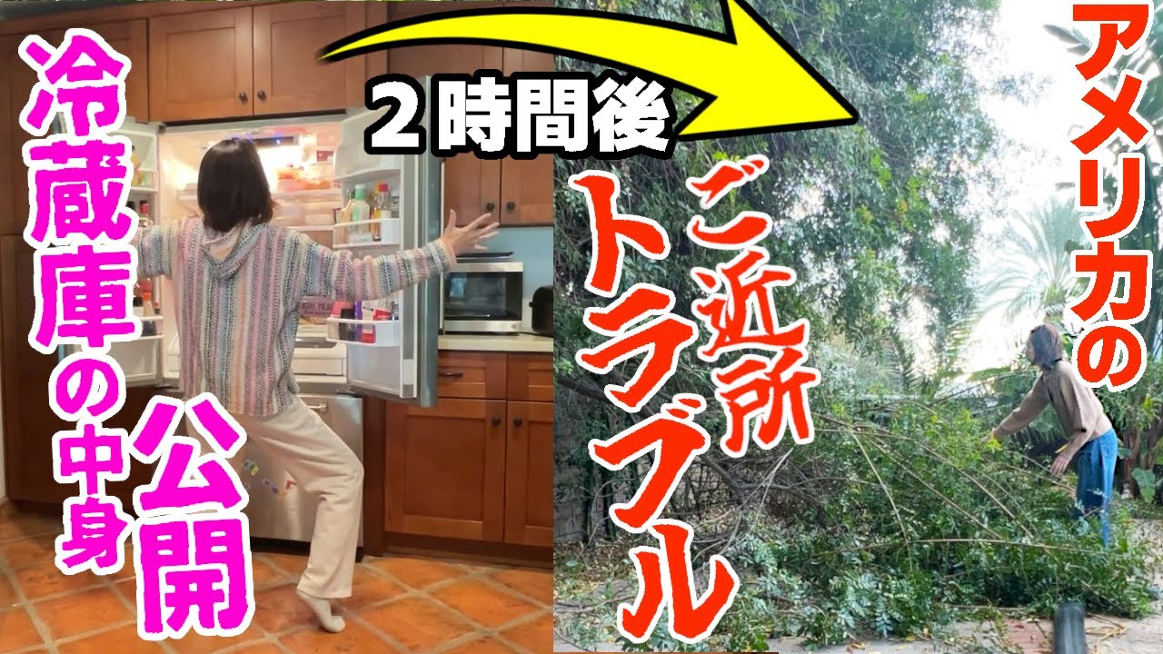 【隣の木がうちに倒壊！アメリカご近所トラブル！】トラブル続きの主婦のVlog【アメリカ家族】