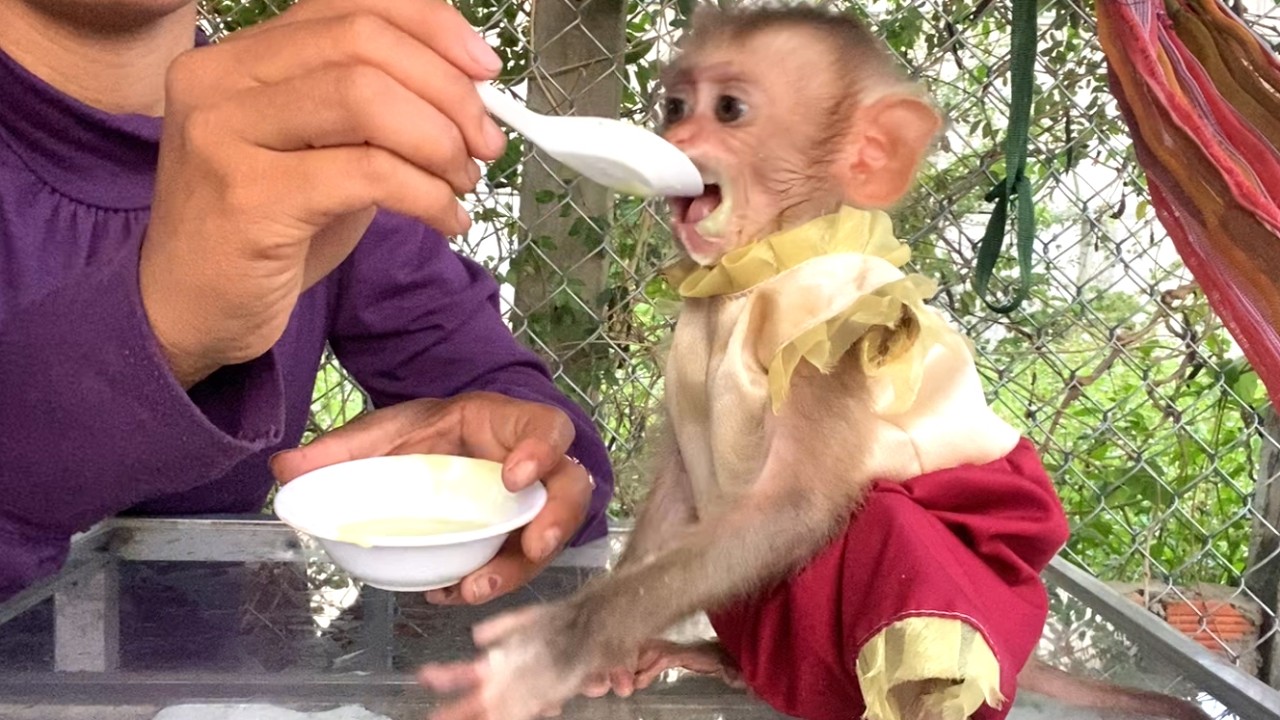 So delicious!!  The Adorable Baby LIORA is enjoying an avocado smoothie