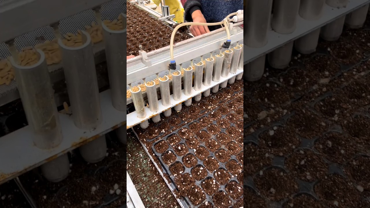 #shorts #agriculture #farming2024 #satisfying #machine #shot #EliteShortsUnleashed #5263