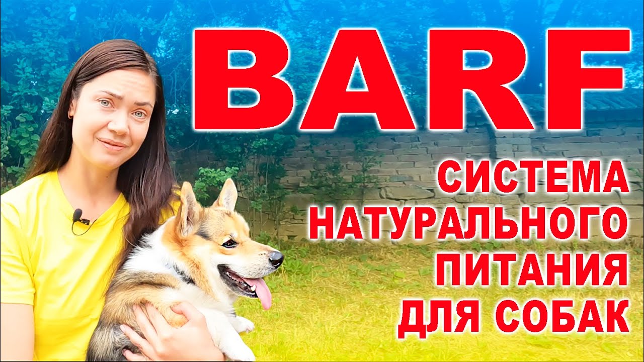 BARF