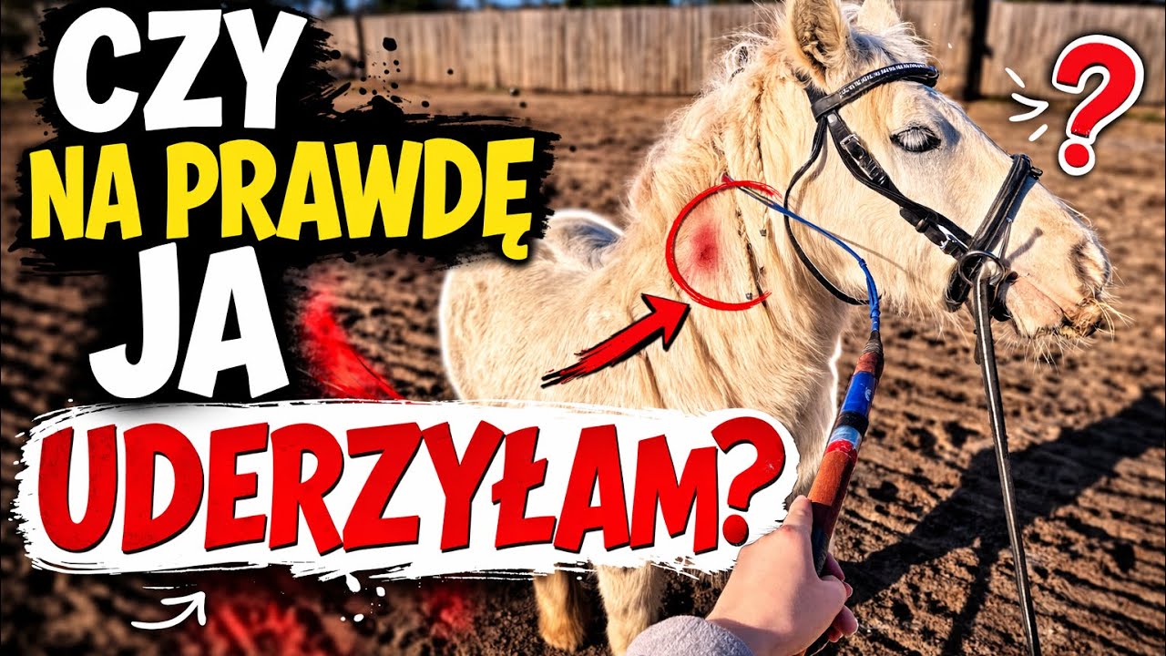 Czy naprawdę uderzyłam konia batem? | Dzień w stajni po szkole😳😣
