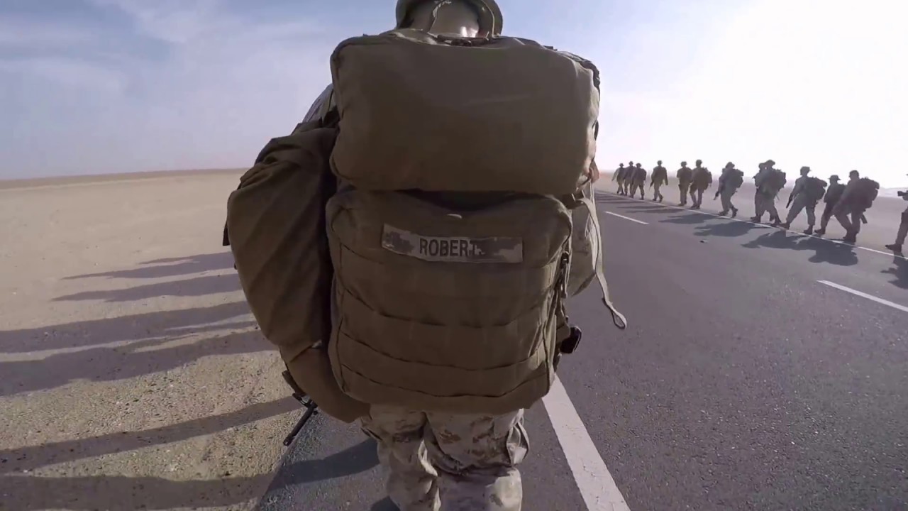 USMC security forces fleet anti-terrorism security team