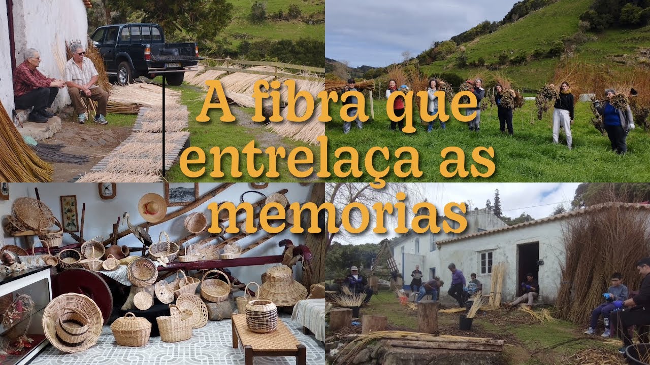 A fibra que entrelaça as memórias (Parte 1/2)