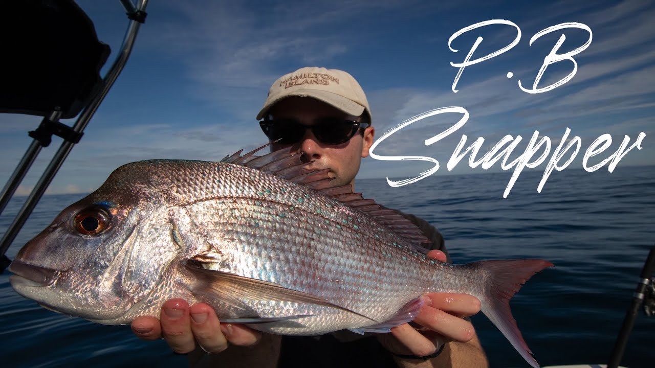 How to Catch Snapper at Broughton Island - Port Stephens (Epic Whale Footage)