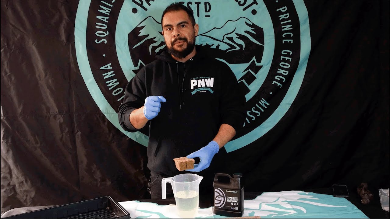 Essentials and advice before you Grow Your Four Cannabis Plants. (Grow Mediums to How To)