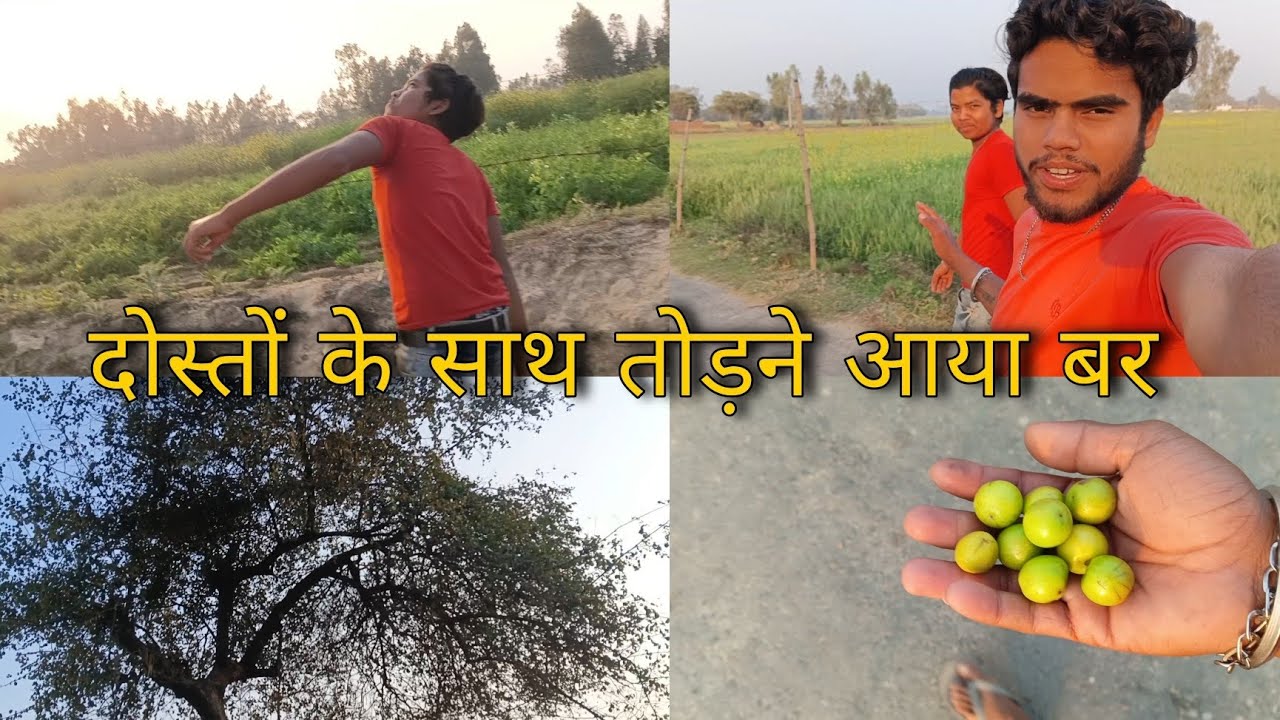 दोस्तों के साथ बेर तोड़ने का मजा ही अलग है 😋 | गांव की लाइफस्टाइल व्लॉग