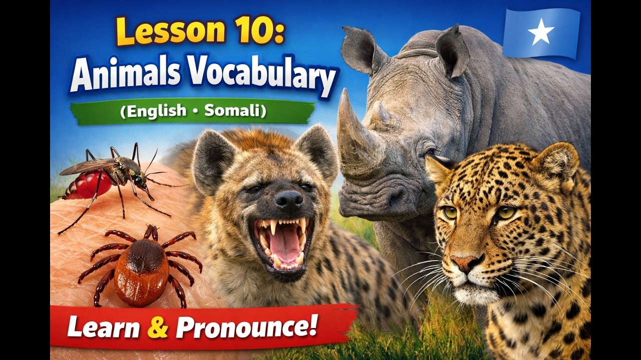LESSON 10: ANIMALS VOCABULARY (ENGLISH - SOMALI)