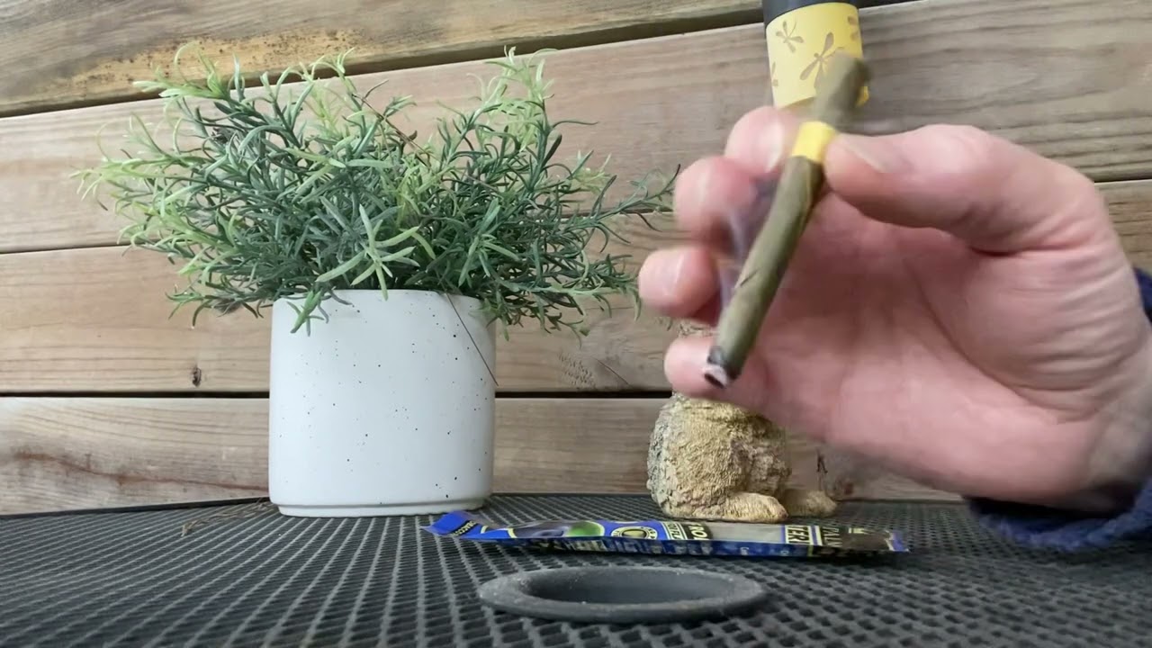 Palm Blunt with Trulieve Rebel Sour