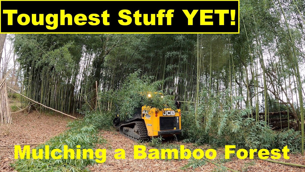 BAMBOO FOREST GETS MULCHED Day 3- On the 2 Acre lot.