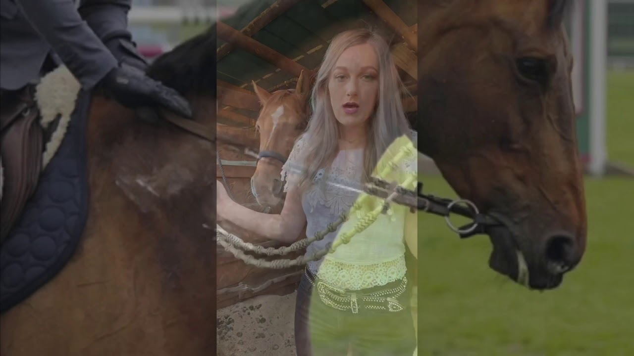 What is a War Bridle?! Explained...