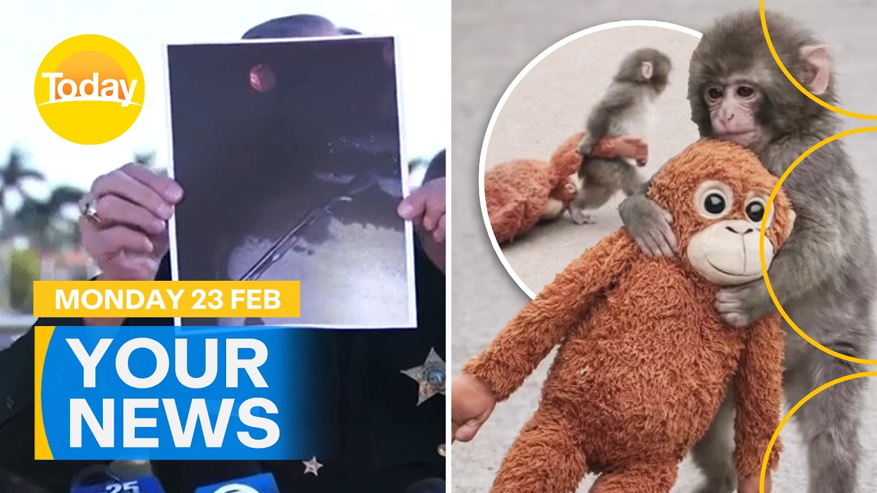 Your News | Man shot at Trump's Florida estate; Viral monkey breaks hearts | Today Show Australia
