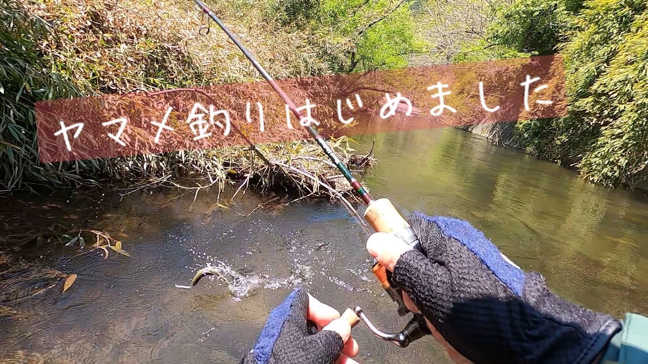 【渓流ルアー】初夏の里川、ヤマメ釣り