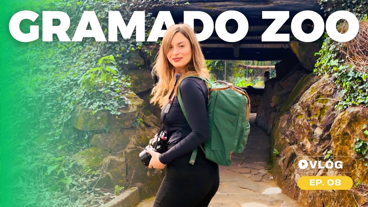 Como é o ZOOLÓGICO DE GRAMADO na Serra Gaúcha? 2024 Tudo o que você precisa saber!