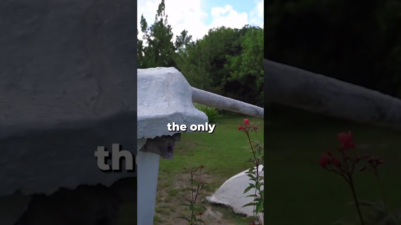 Bermuda's White Roofs: An Ingenious Survival Strategy