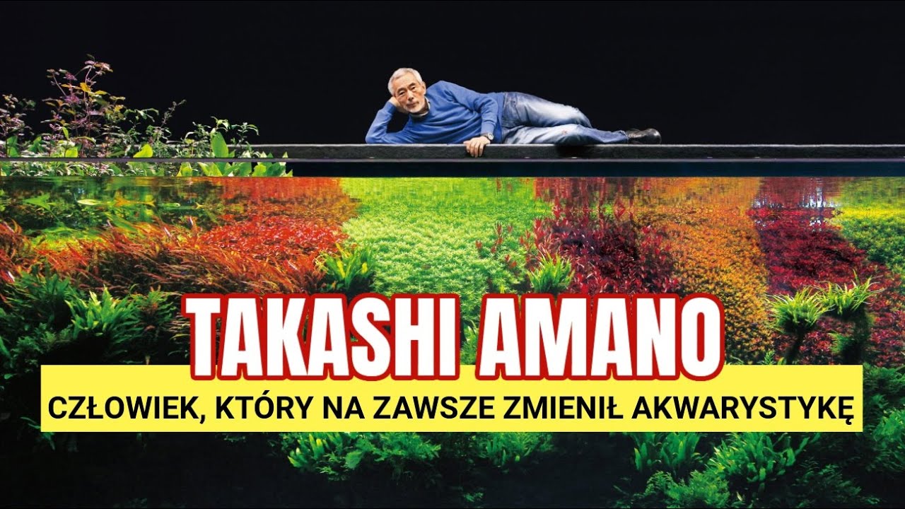 AKWARIUM CZY DZIEŁO SZTUKI &ndash; Czym naprawdę jest Aquascaping?