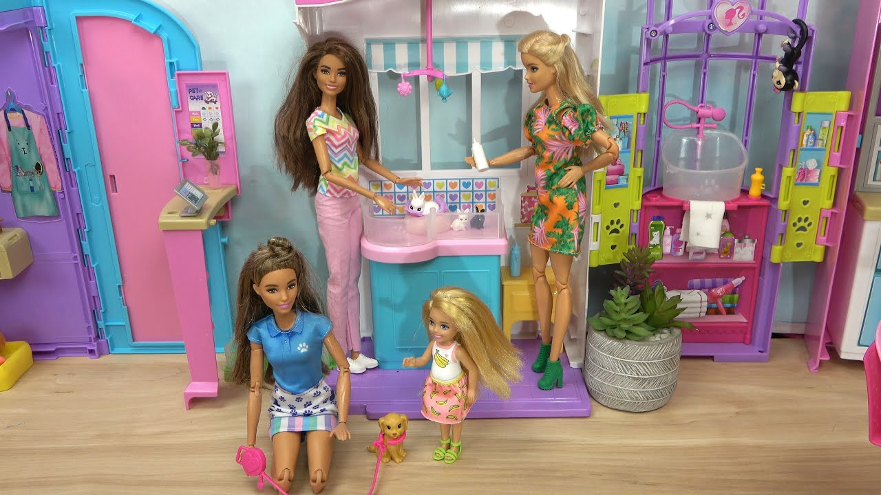 Barbie Vet Clinic with Barbie’s Sister Chelsea Training Puppies and Barbie Delivering Baby Bunnies