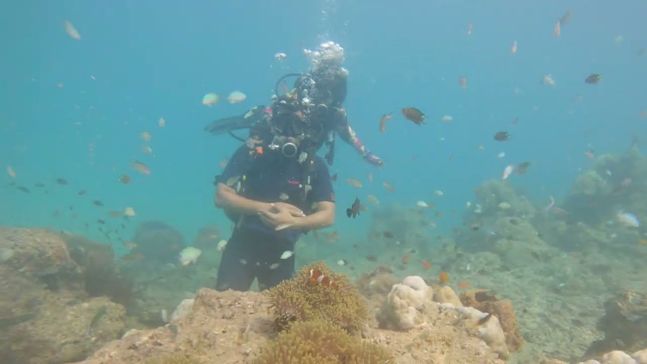 Scuba Diving in Havelock Island | PADI Certified Dive Center | Experience Scuba &ndash; Andaman Islands
